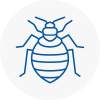 Bed Bug Extermination In Cleethorpes